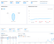 Load image into Gallery viewer, Boutique Shopify Niche Musique SEO/SEA